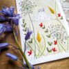 broderie sur papier cartes oiseaux