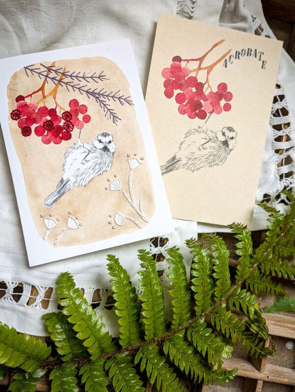 broderie sur papier cartes illustrées oiseaux