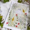 broderie sur papier cartes oiseaux