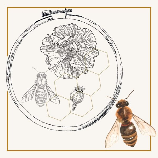Dessin du mois à broder – 6 – Butinages : abeille et coquelicot