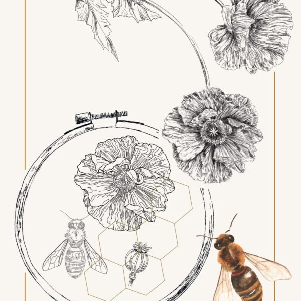 Dessin du mois à broder – 6 – Butinages : abeille et coquelicot